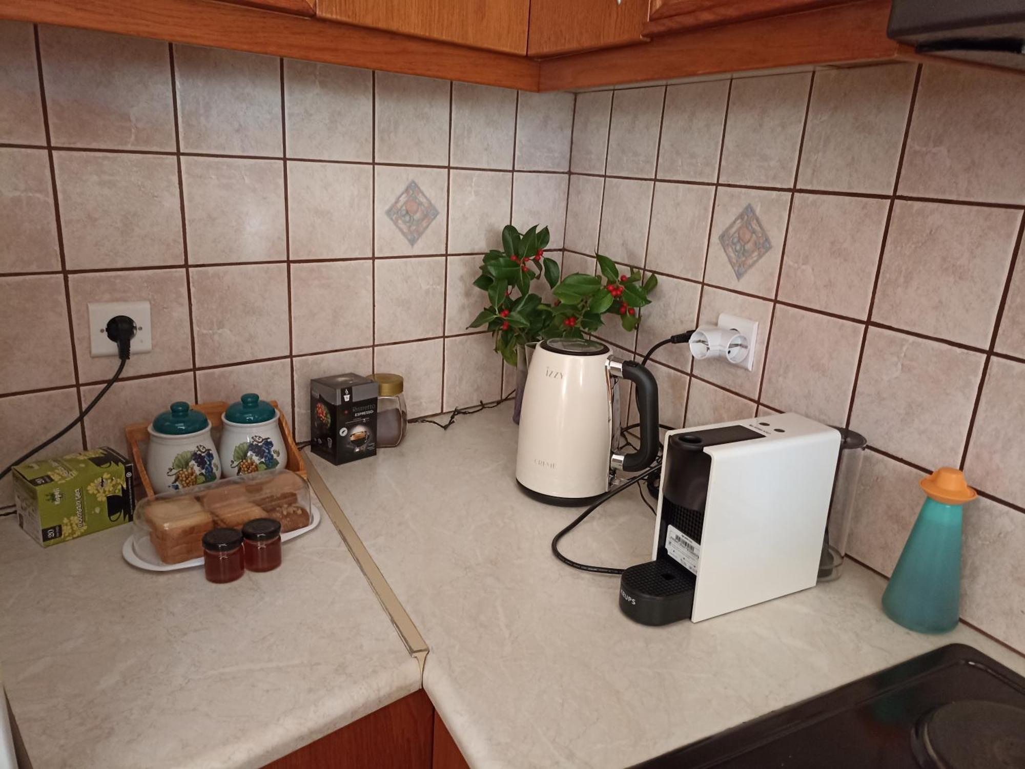 Apartment Louna Metsovo