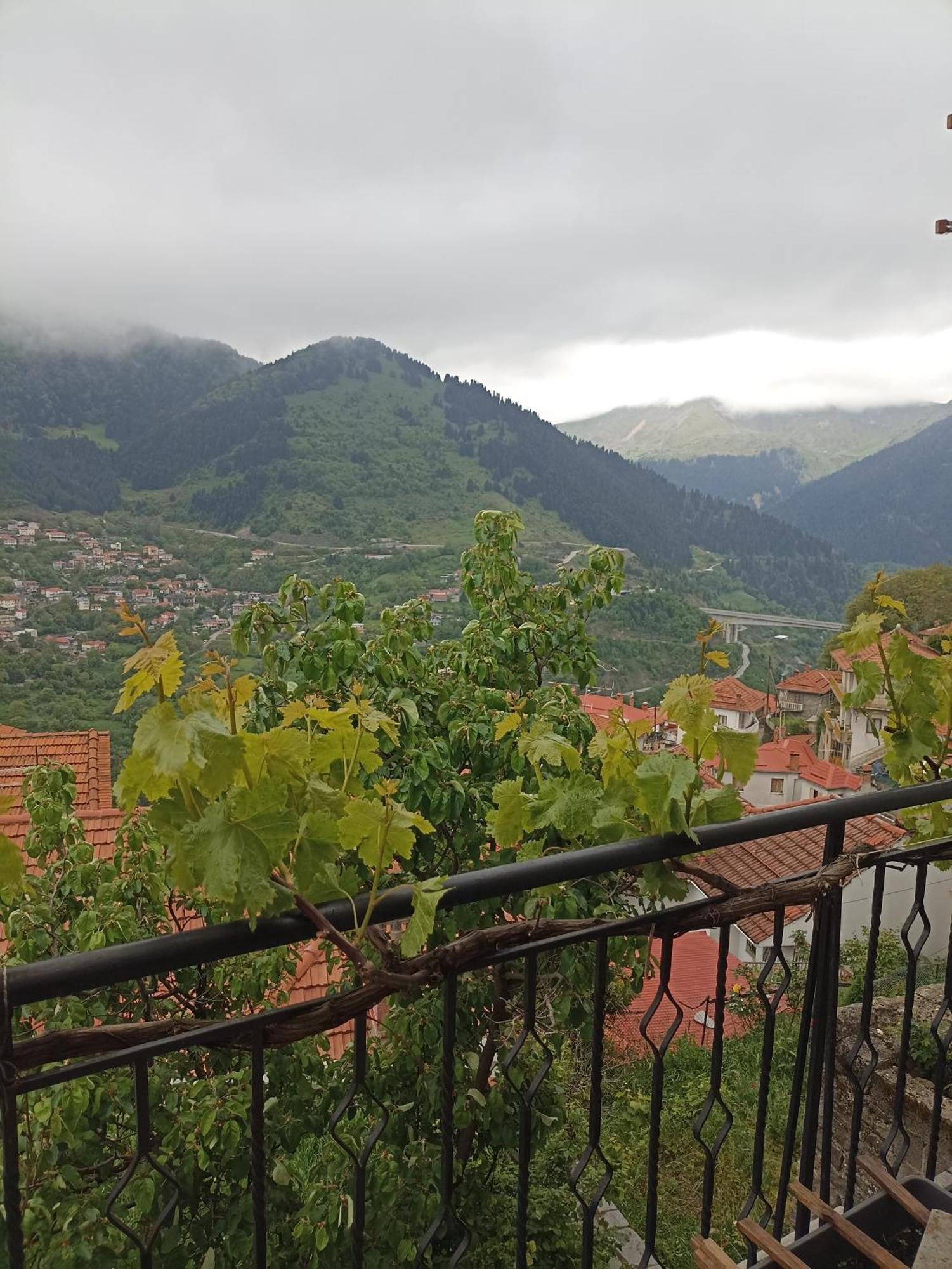 Louna Apartment Metsovo